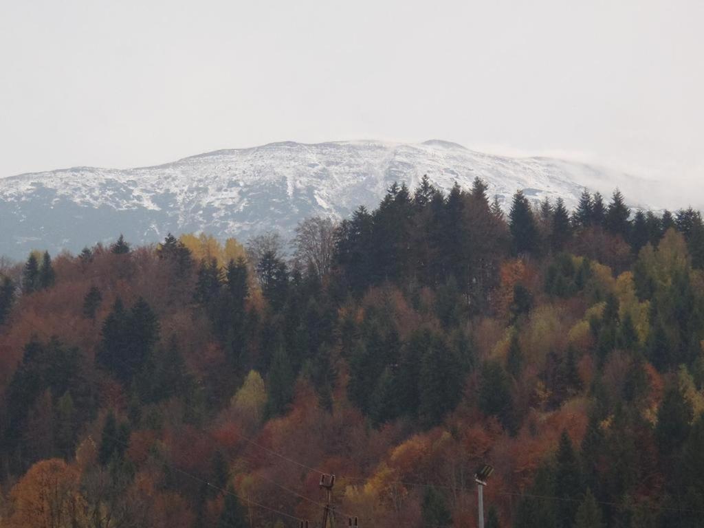 Willa Babia Gora Zawoja Exterior foto